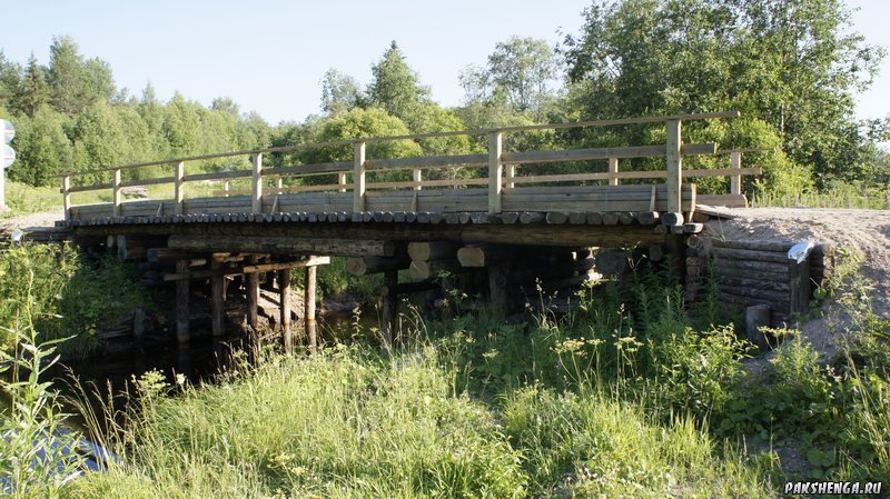 Река Пакшеньга.                 "Лодыгинская".